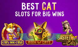 Lucky Paws Best Cat Slots for Big Wins