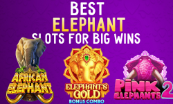 The Best Elephant Slot Games
